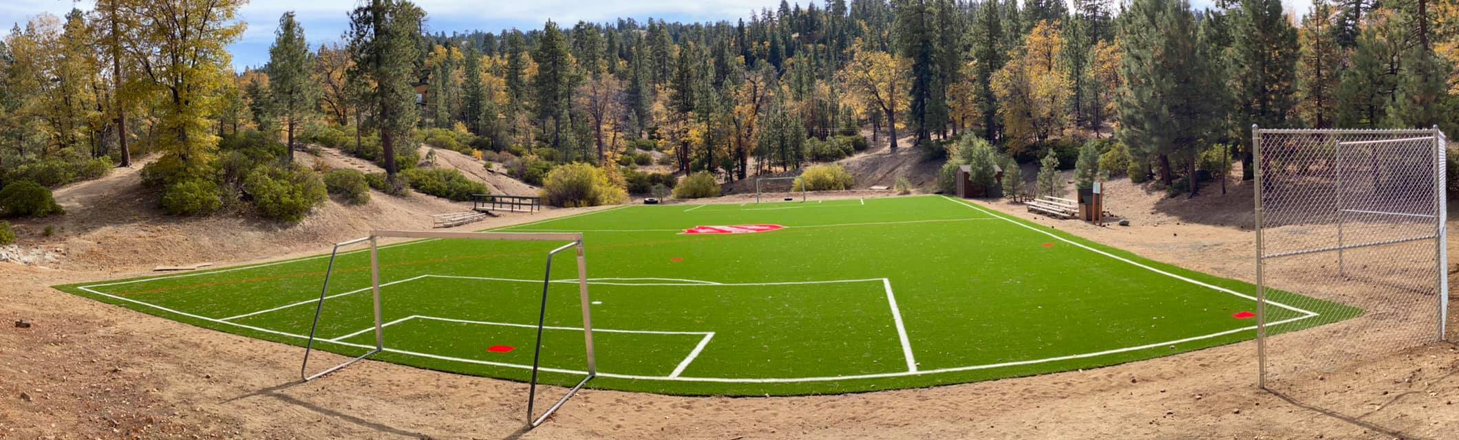 Artificial Sports Turf, Athletic Turf, Indoor & Outdoor Sports Area, Riverside